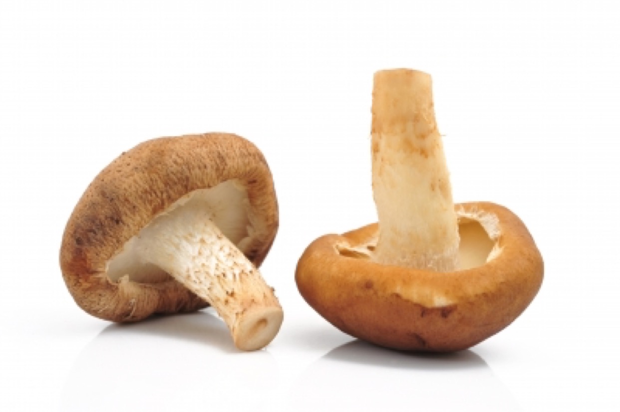 mushroom