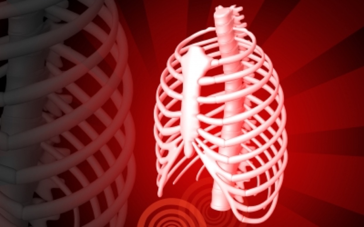 rib