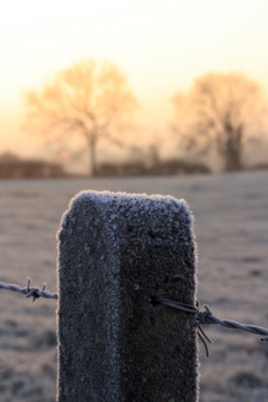 snow or frost