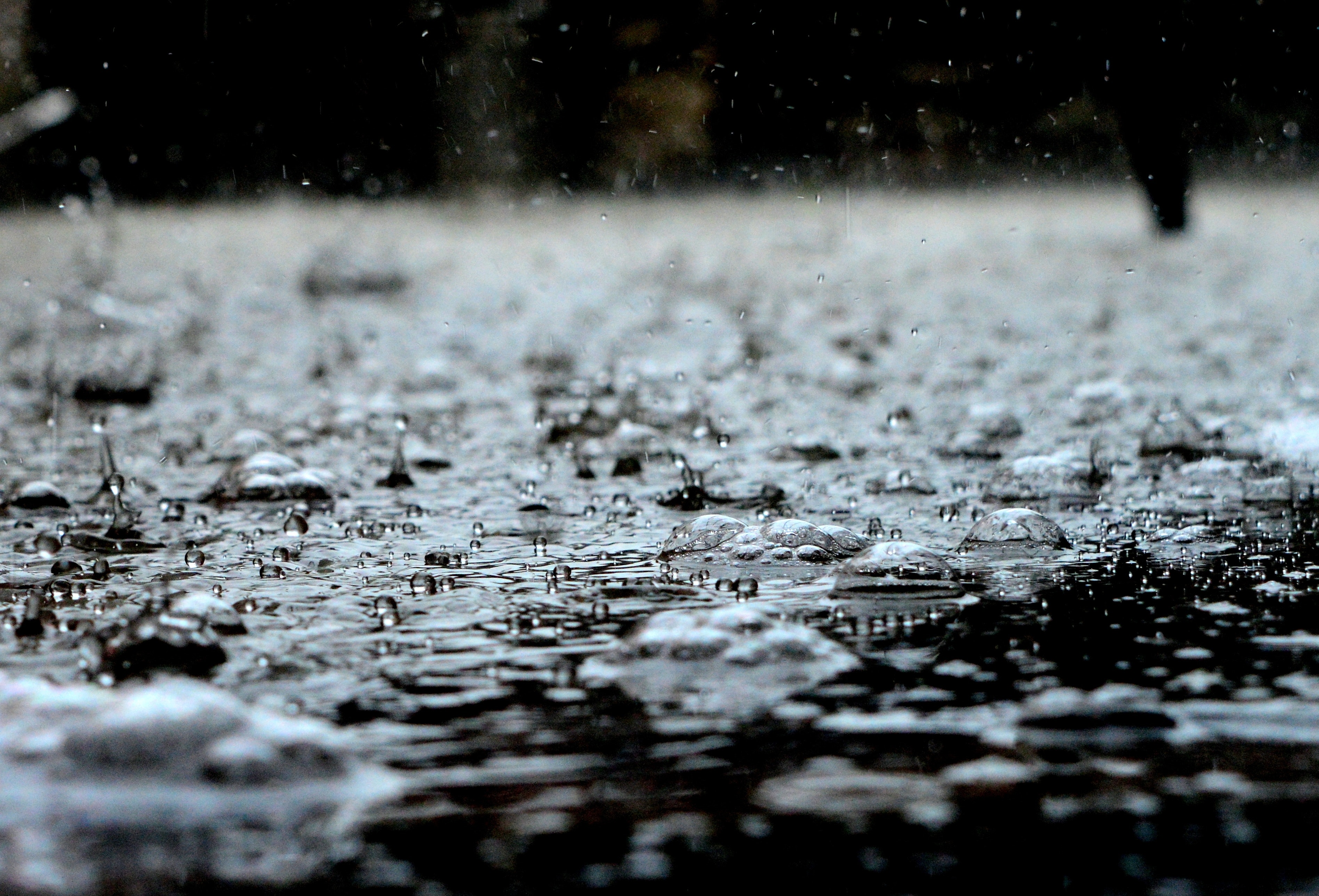 weather