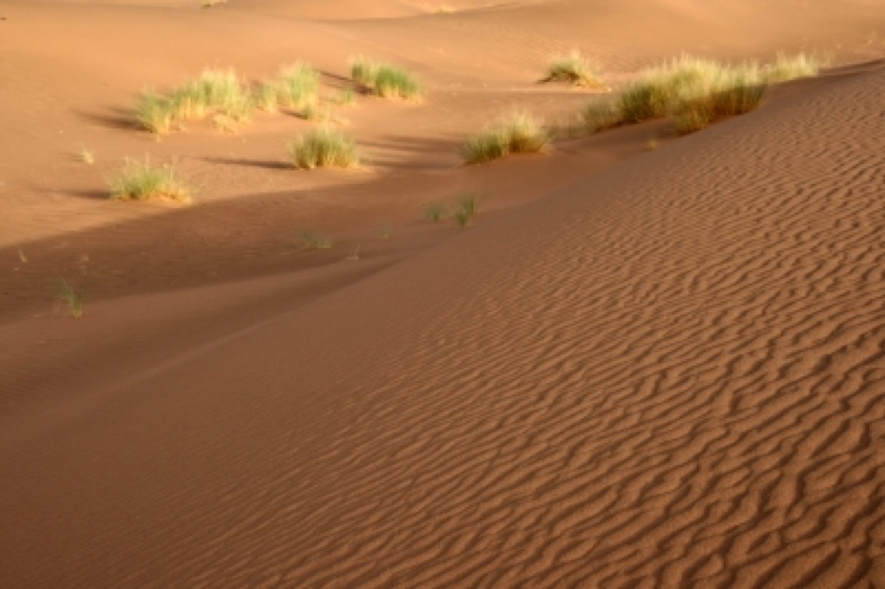 sand