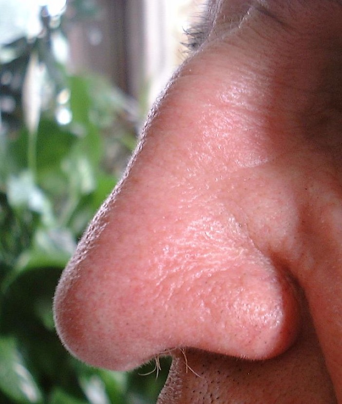 nose